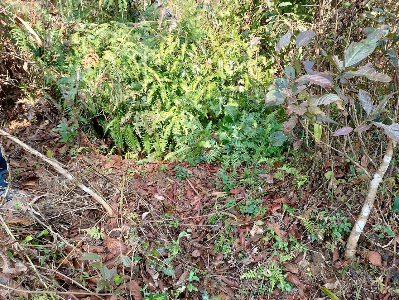 C:\Users\Lavinia Pde\Pictures\Camera Roll\Nongpyrdet\Nongpyrdet\IMG-20220707-WA0044.jpg